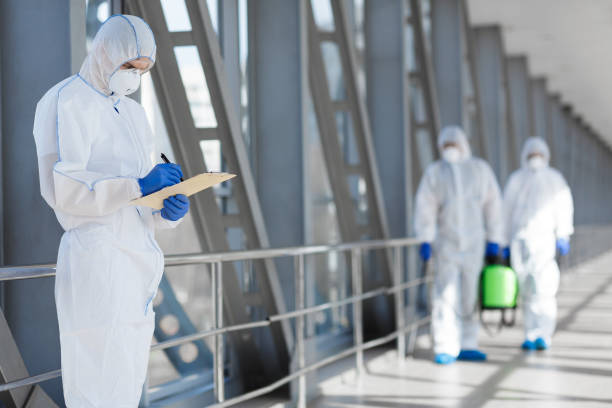 Best Mold Odor Removal Services  in Timmonsville, SC