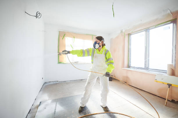 Best Mold Damage Restoration  in Timmonsville, SC