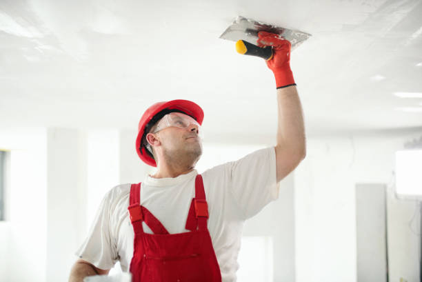 Best Comprehensive Air Testing for Mold Contaminants  in Timmonsville, SC