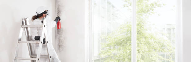 Best Indoor Air Quality Assessment  in Timmonsville, SC