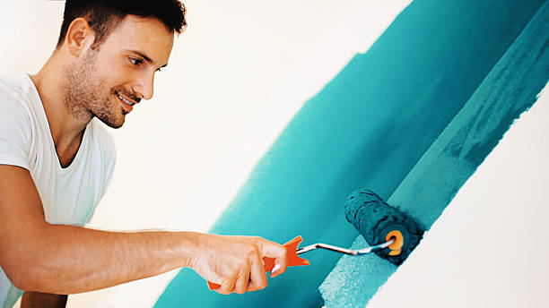 Trusted Timmonsville, SC Mold Removal Experts